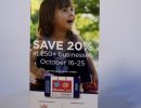 example of brochure example of brochure