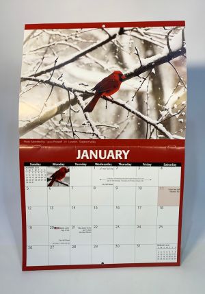 calendar example