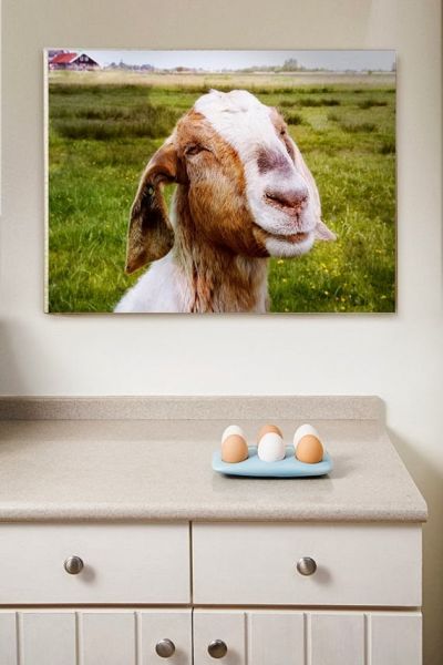 canvas wrap for breakroom canvas wrap for breakroom