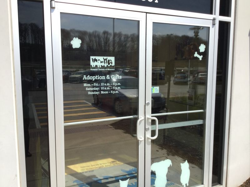 door window graphic door window graphic