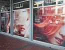 branding window graphics branding window graphics