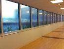 arch framing window graphics arch framing window graphics