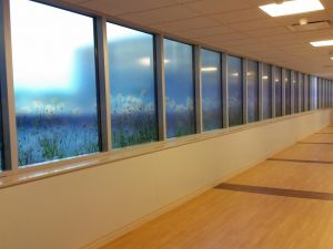 arch framing window graphics